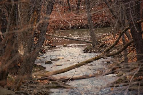 the river - short walk from home