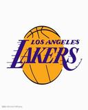 nba team - Los Angeles Lakers, I just just crazy about this team, OMG, I think I can't love it anymore.