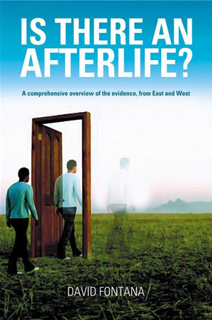 Afterlife - So is there really an afterlife, or such things as rebirth?