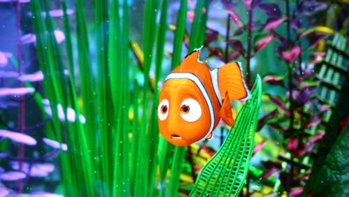 Nemo's Journey - It show's the journey nemo's father made for the love of his child, even he hated open sea.