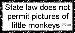 State Law - State Law Doesn't allow pictures of little monkeys