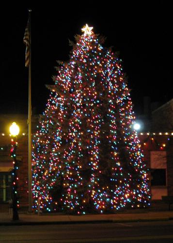 Christmas Tree - This was taken at night with a Canon G9 braced against a lamp post. I used the Auto mode with the flash off.