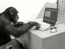 monkey loves computer - If you enjoy interenet, why not a money enjoy it too?