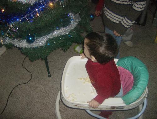 My Youngest - The baby, 11 months old, is enchanted by the tree