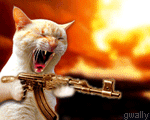 Cat shooting gun - An image of a cat shooting wildly with a gun