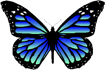 Butterfly - Going to be using this on my profile page. Trying to flesh it out so it says more about me.