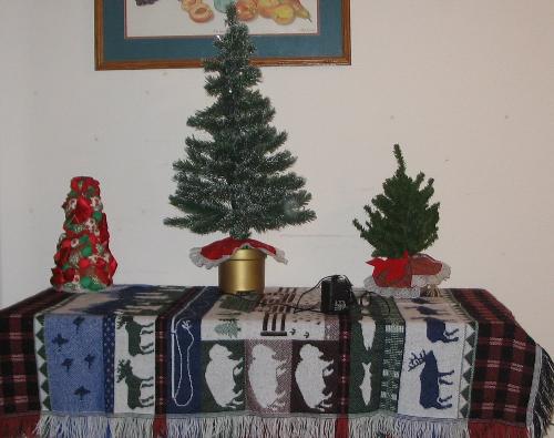 Our little Christmas area - The middle tree is fiber optic but not lit yet.