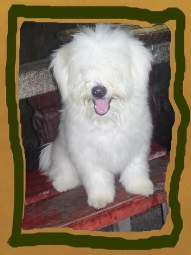 its tamtam again - my cute tamtam my friend.