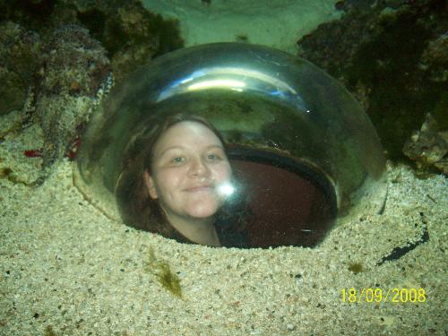 Me in a bubble - When I was in France, my mum took me to an aquarium. Some of the tanks had little tunnels so you could crawl under the tanks and then pop up in a bubble in the middle of the tank.