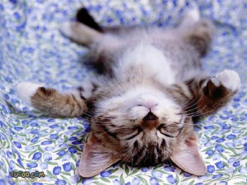 a bit sleepy - I'm sleepy