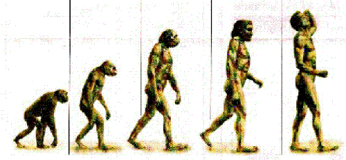 Evolution. - Each depiction between man an 'monkey' is an evolutionary step towards the future.