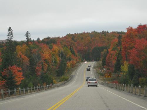 Algonquin park - Algonquin park during Fall season