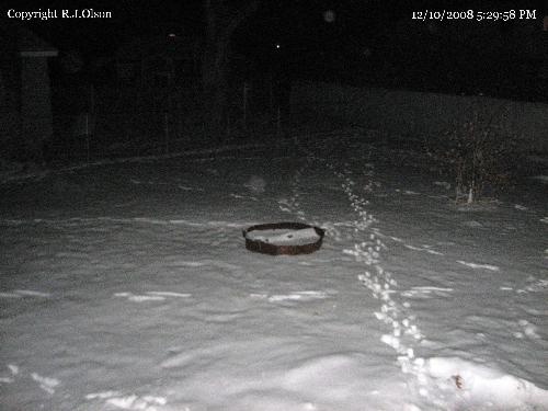 Backyard - Busters trails in the snow out back.