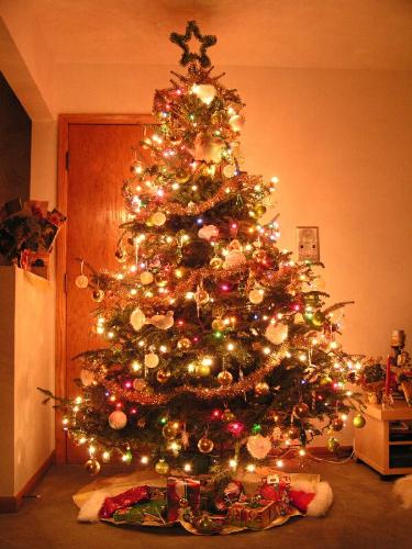 christmas ,as tree - xmas tree