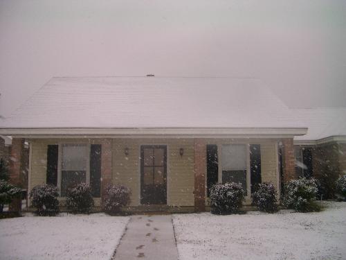 This is what i moved from Florida for. - December 11,2008