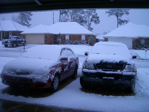 This is what i moved from Florida for. - December 11,2008