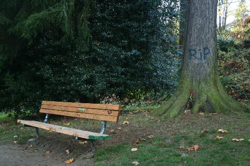 Viretta park - This is Viretta park, with the benches covered in graffiti written by fans from all over.