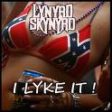 lynyrd skynyrd - I like it