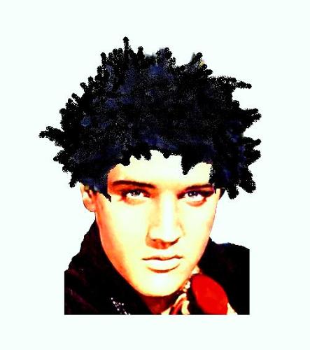 Elvis with morning hair! - Even Elvis has bad hair days; and especially when he first wakes up of a morning!