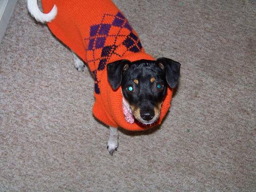 Me Daisy May - Me Daisy May spoting a new sweater