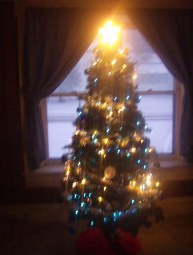 Christmas Tree - All lit up