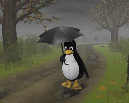 walking in the rain...  - A penguin walking in the rain lonely....