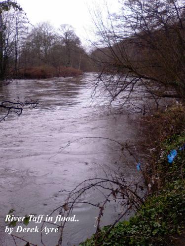 River Taff in Flood - This was the River Taff after a heavy night of flooding. The light wasn't too good, but considering I took it on my cellphone, it came out pretty clear.