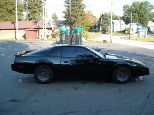 my 1984 trans am - love this car!