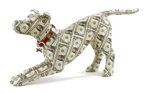 Pets Cost Money - Prepare for your pet's vet costs.