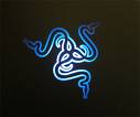 Razer logo - This is the logo for the Razer Gaming Hardware company.