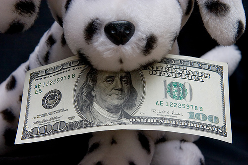doggie money - money !!