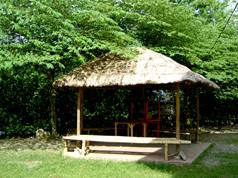 gazebo - native gazebo... a respite against the heat