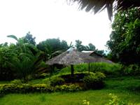 pretty view 2 - relaxing here...