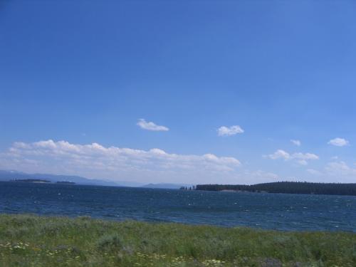 scenery - A beautiful scene of nature!