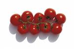tomatos - red tomatos