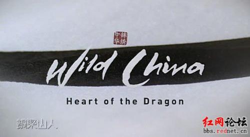 China - Wild China