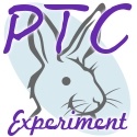 BunGirl&#039;s PTC Experiment - The logo for my PTC blog