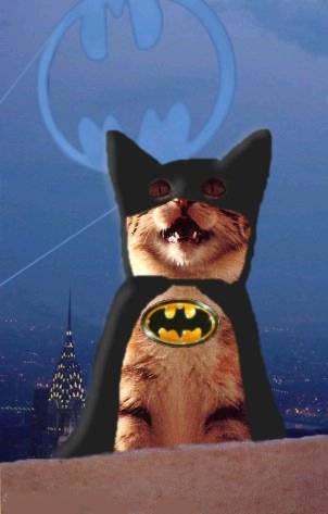 Prrrrrrrr.... Batman! - Watch out, bats!