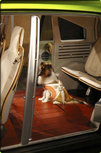 Honda WOW - Honda wow cabin with the pet
