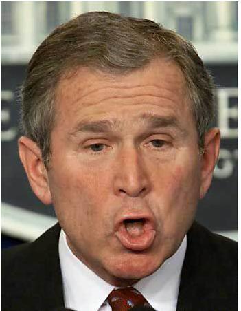 Mr. Bush - The President of the United States of America...