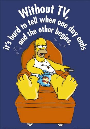 tv - homer