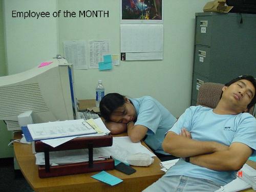 Sleeping Employees...  - Employees of the Month... caught sleeping...