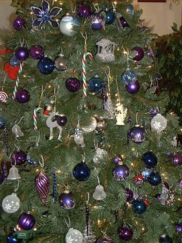 close up shot of my Christmas tree 2008 - Here's a close up shot of my Christmas tree 2008 (c) J.Morgan  (c) dreamweaverjan for mylot!