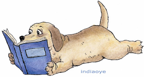 dog reading - a dog reading book with full interest