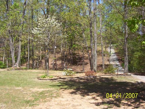 Our Front Yard - Has a beautiful view! This was taken in the spring when things just started growing back again.