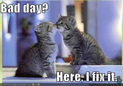 How to fix a bad day - lolcat pic taken from icanhascheezburger. this one is my favorite.