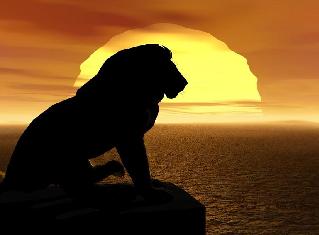 Animal - Lion King
