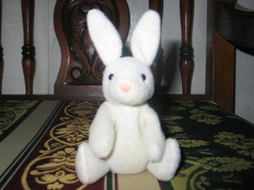 lil' bunny rabbit.. - this is my lil' bunny rabbit.. my special someone gave this to me when we were in high school..  his cute and small.. :)
