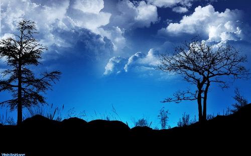 wallpaper-trees-cloud - wallpaper