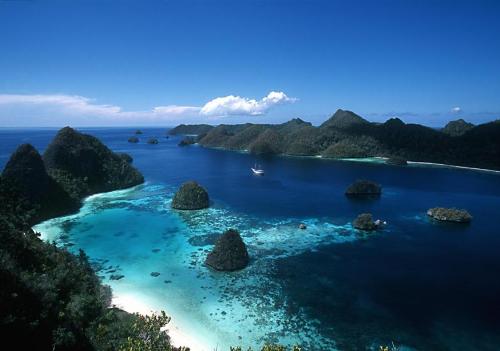 raja ampat of indonesia - best scuba diving spot in the world!! at least on my opinion :P